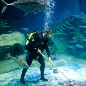 Buzo limpiando una acuario