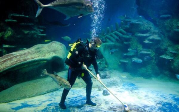Buzo limpiando una acuario