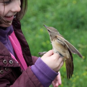 Niña sujetando a un pájaro
